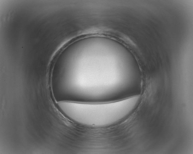X0000062931216200601131105