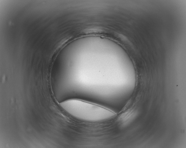 X0000062931217200601131105