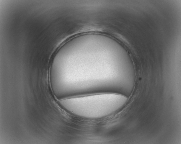 X0000062931220200601131105