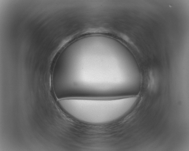 X0000062931221200601131105