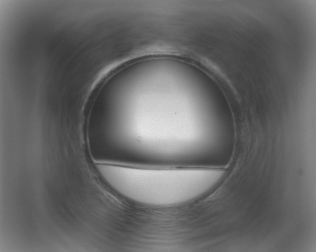 X0000062931222200601131105