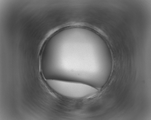 X0000062931223200601131105
