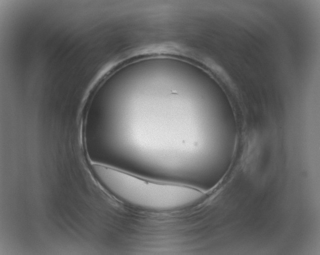 X0000062931224200601131105