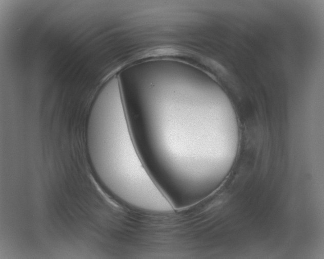 X0000062931225200601131105
