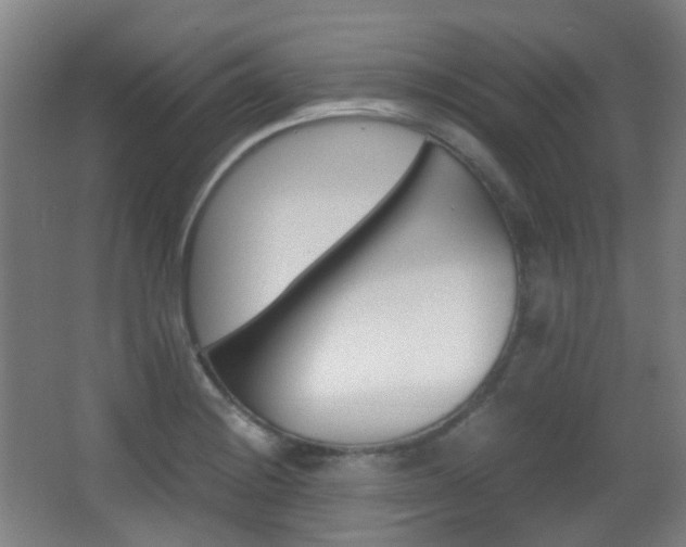 X0000062931228200601131105