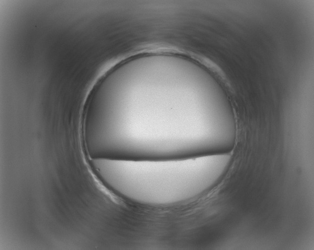 X0000062931231200601131105