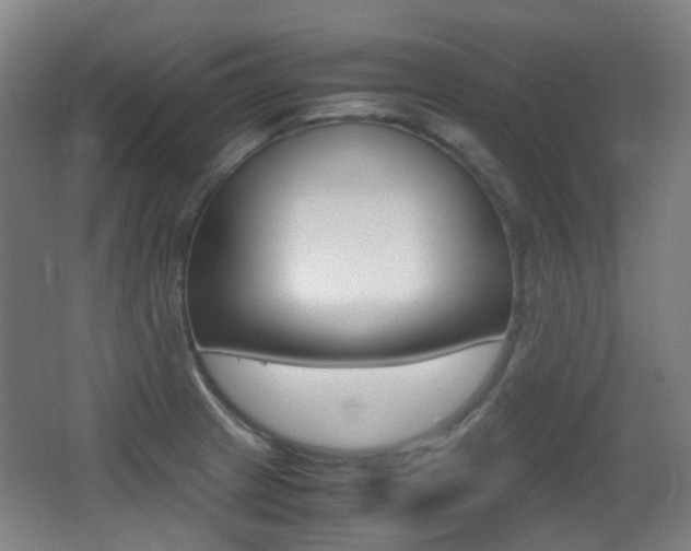 X0000062931233200601131105