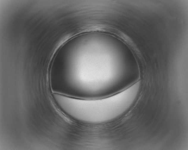 X0000062931234200601131105