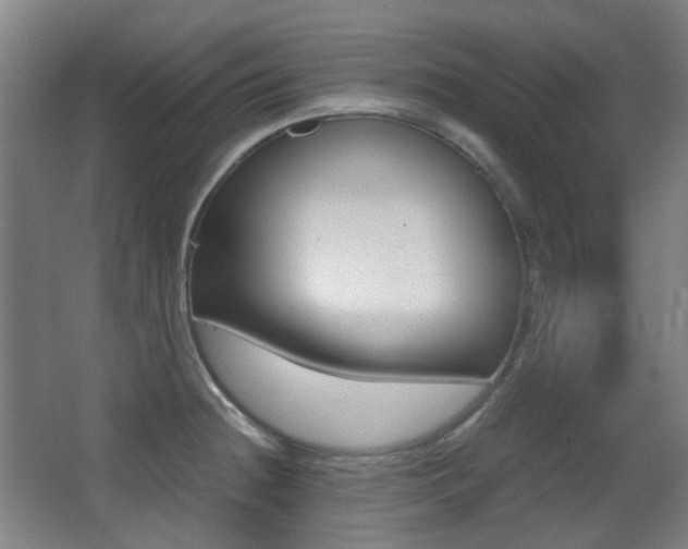 X0000062931236200601131105