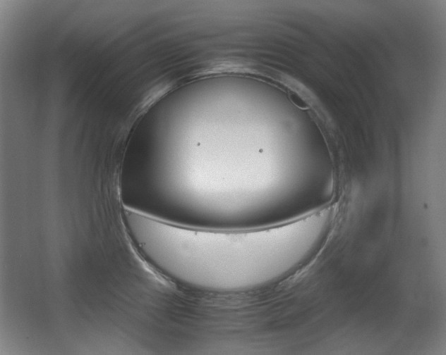 X0000062931241200601131105