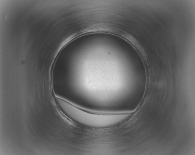 X0000062931242200601131105