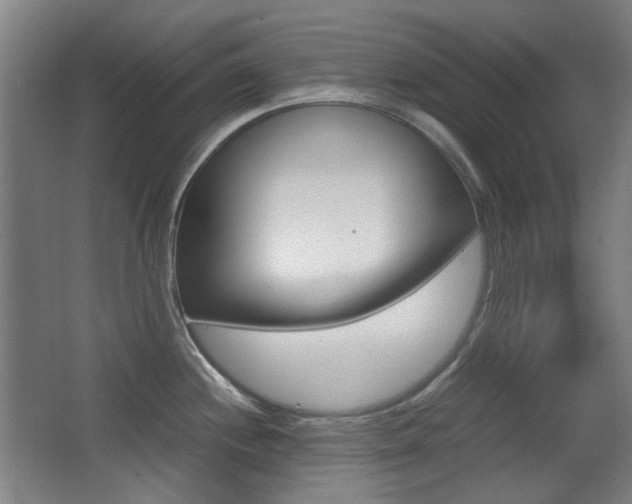 X0000062931244200601131106
