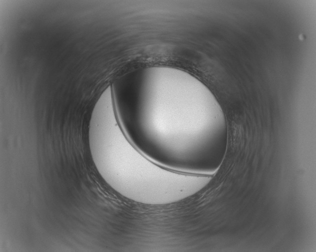 X0000062931250200601131105