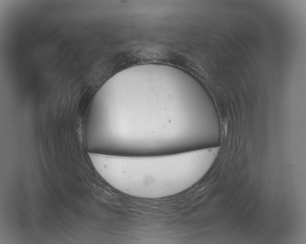 X0000062931251200601131105