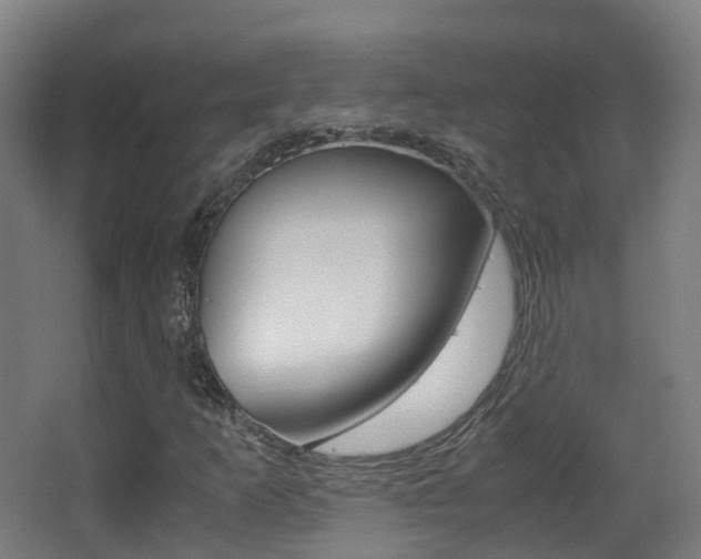 X0000062931253200601131105