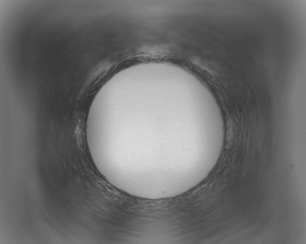 X0000062931254200601131105