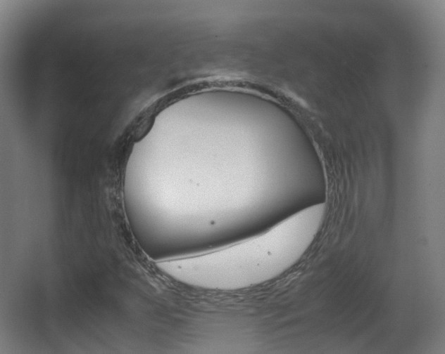 X0000062931255200601131105