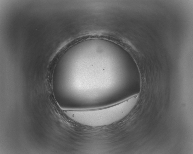 X0000062931256200601131105
