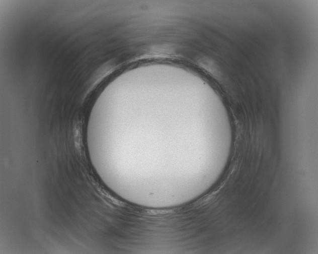 X0000062931258200601131105