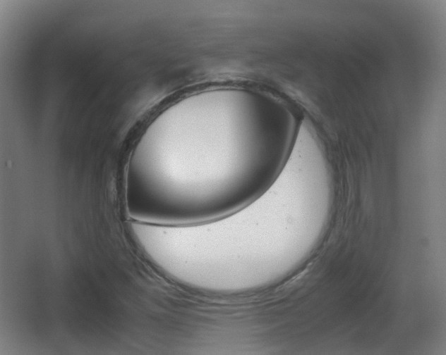 X0000062931261200601131105