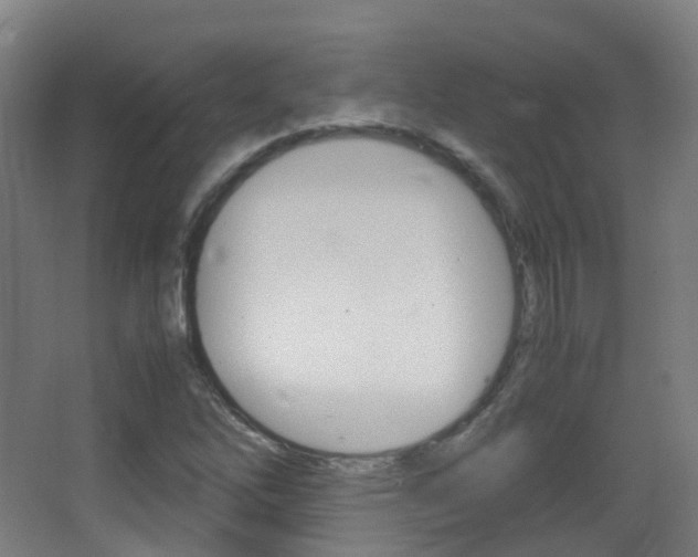 X0000062931262200601131105