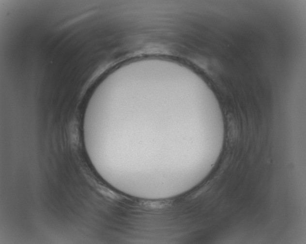 X0000062931266200601131104