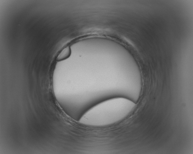 X0000062931267200601131104