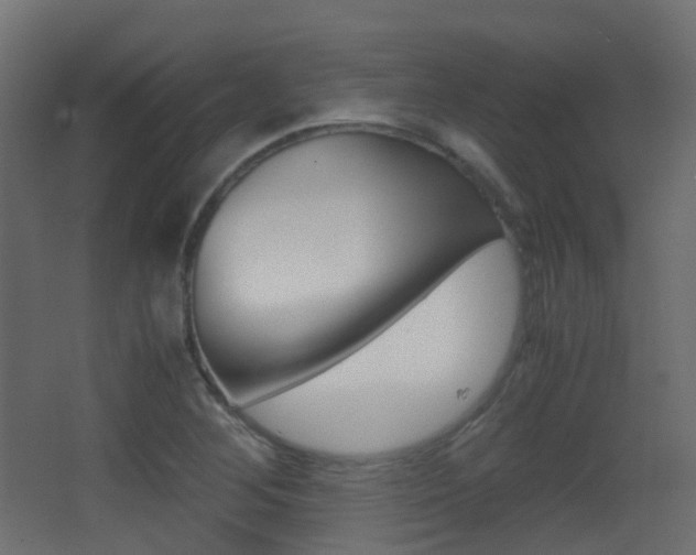 X0000062931268200601131104