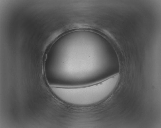 X0000062931269200601131104