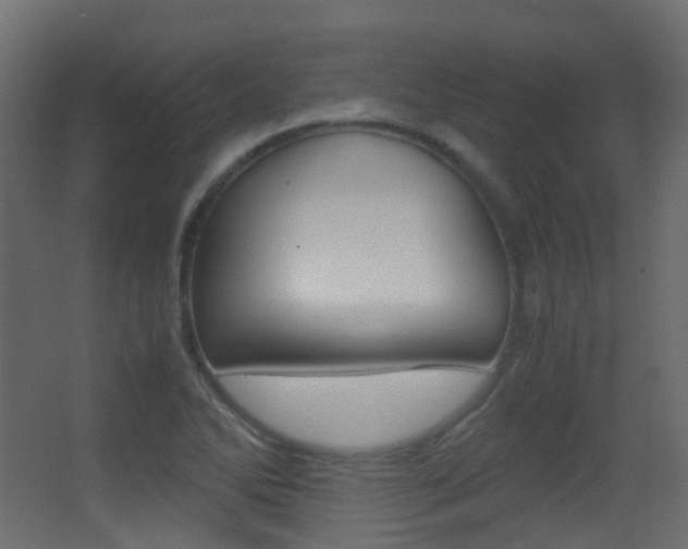 X0000062931270200601131104