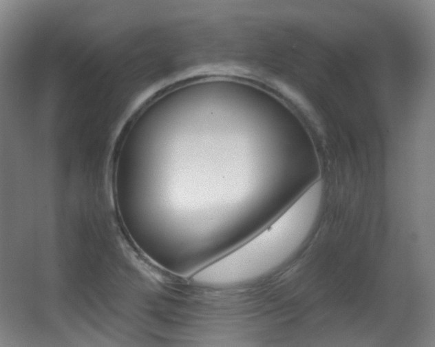 X0000062931272200601131104