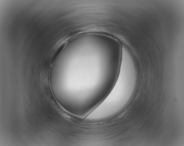 X0000062931273200601131104