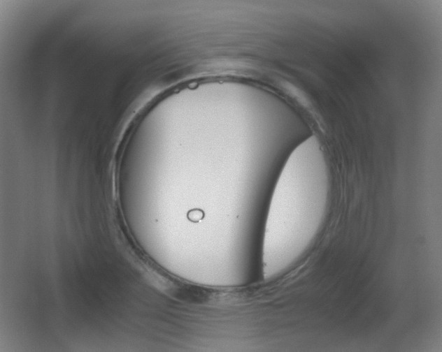 X0000062931275200601131104