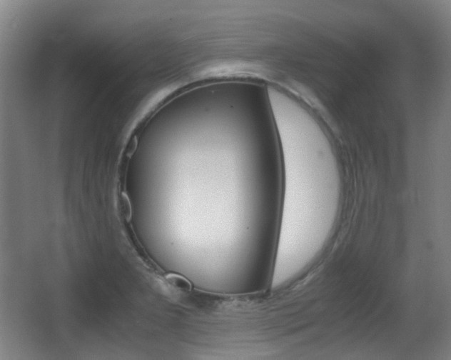 X0000062931277200601131104