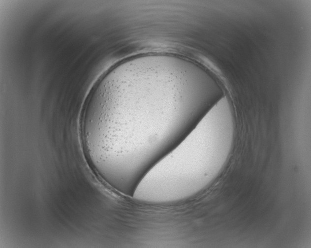 X0000062931283200601131104