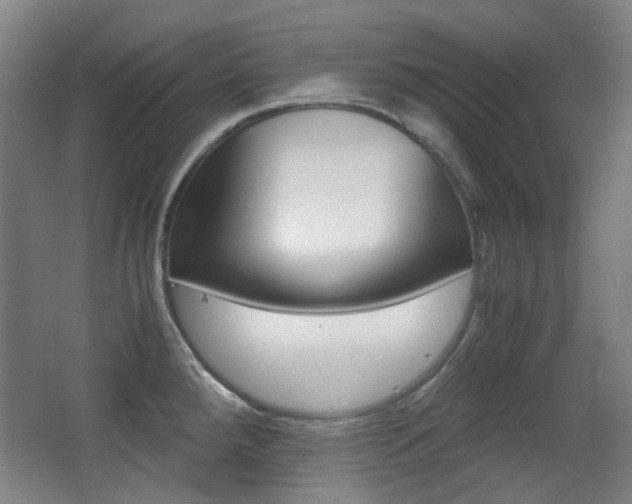 X0000062931288200601131104