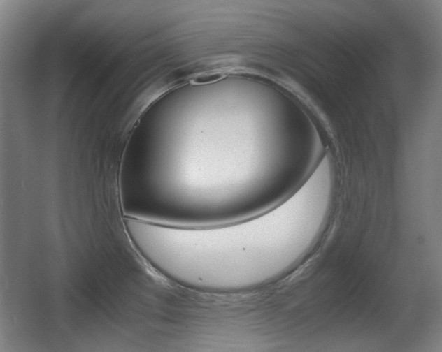 X0000062931289200601131104