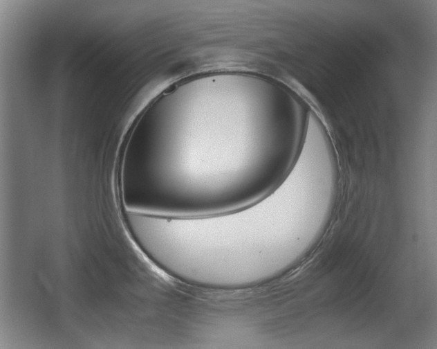 X0000062931293200601131104