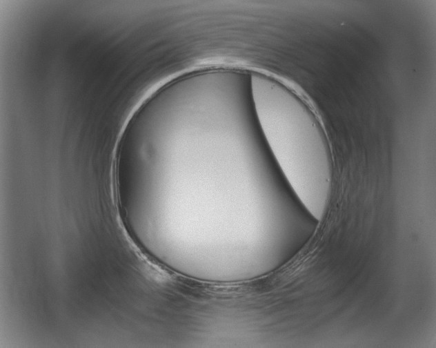 X0000062931295200601131104