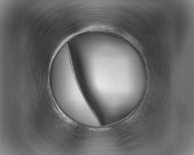 X0000062931296200601131104