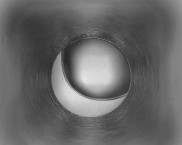X0000062931298200601131103