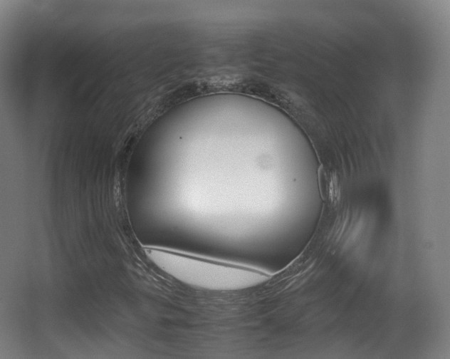 X0000062931299200601131103