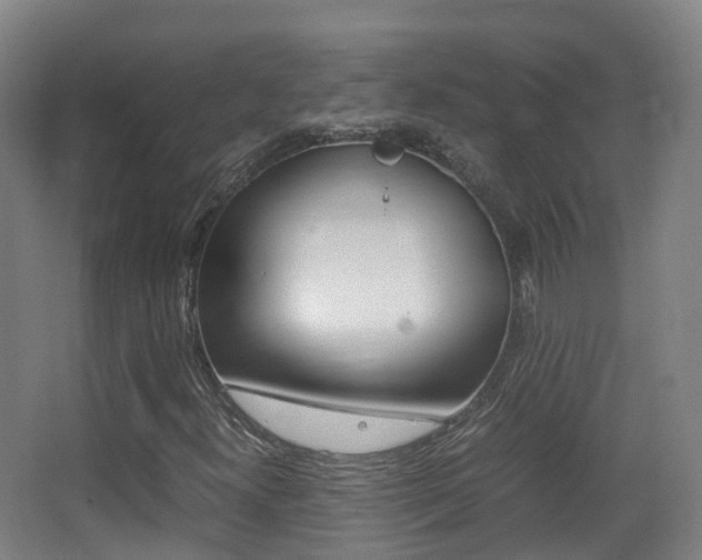 X0000062931300200601131103