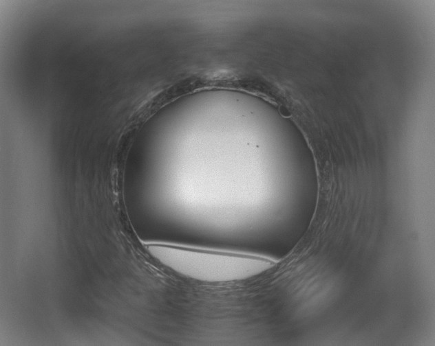 X0000062931301200601131103