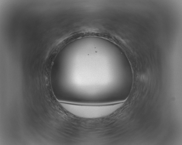 X0000062931303200601131103