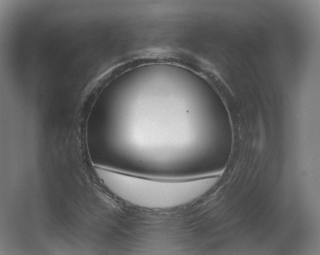 X0000062931304200601131103