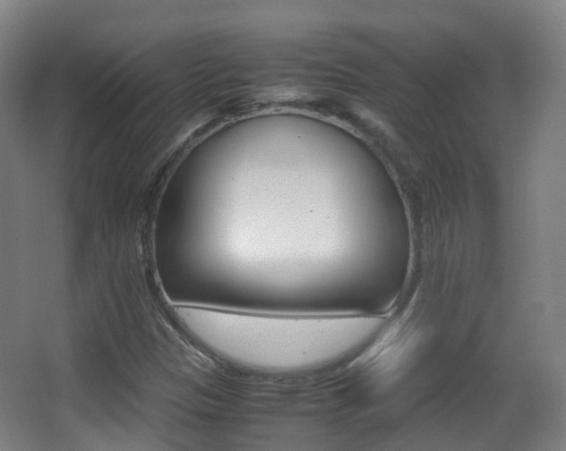 X0000062931305200601131103