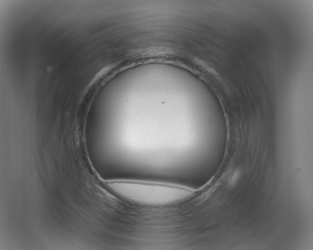X0000062931306200601131103
