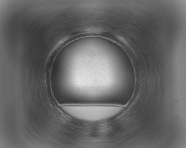 X0000062931307200601131103
