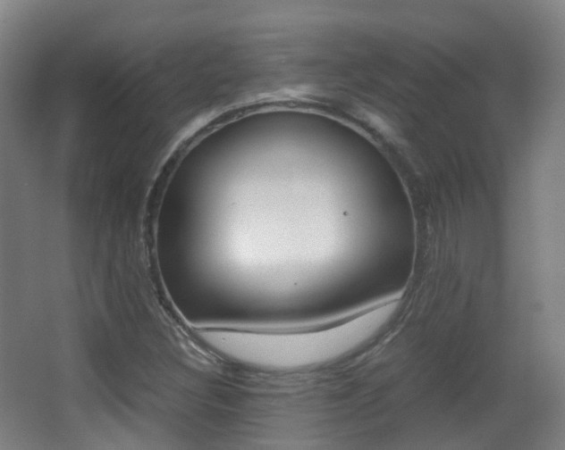 X0000062931308200601131103